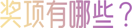 奖项有哪些？